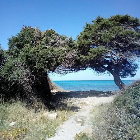 Casa Per Vacanze Vicino Al Mare Posada (Sardinia)