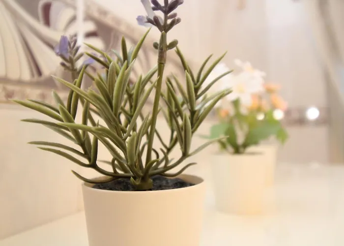 Apartman Casa Per Vacanze Vicino Al Mare Posada