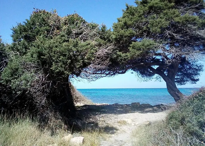 Casa Per Vacanze Vicino Al Mare Posada (Sardinia)